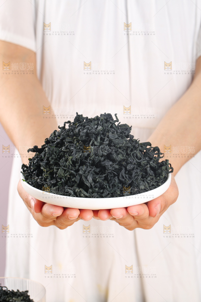 浅底上的裙带菜