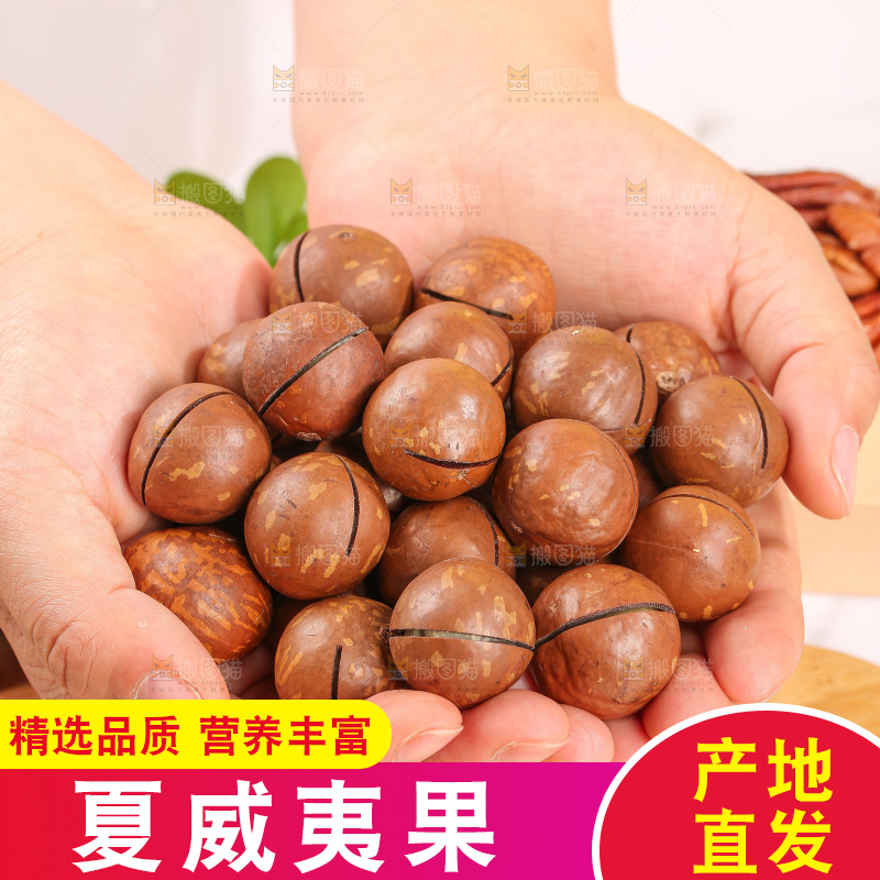 浅底上摆放夏威夷果