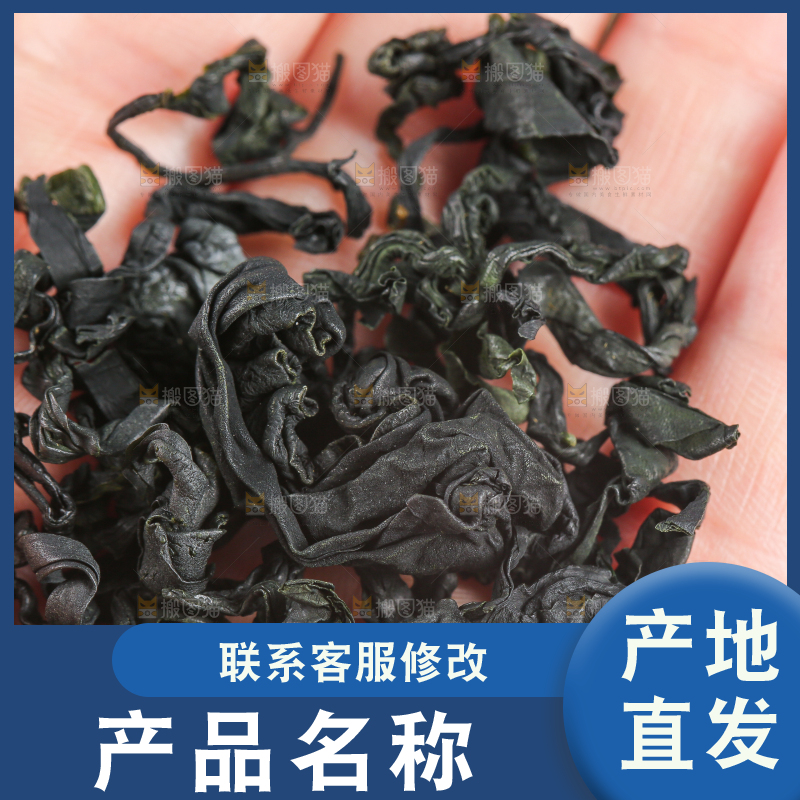 浅底上的裙带菜