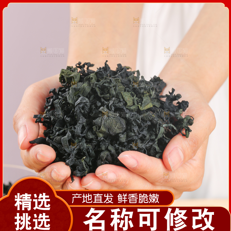 浅底上的裙带菜