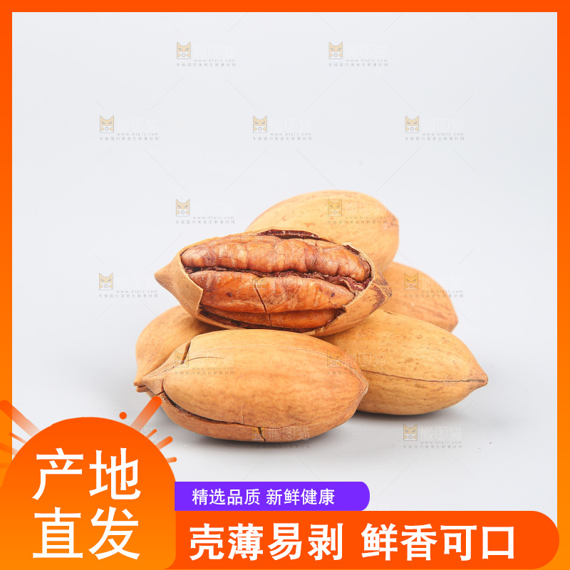 浅底上的碧根果