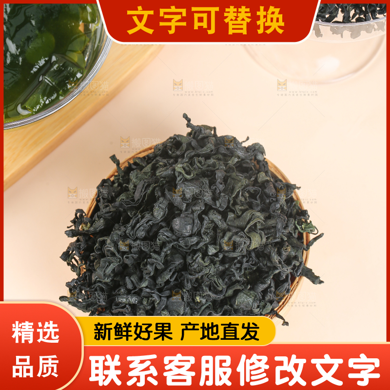 浅底上的裙带菜
