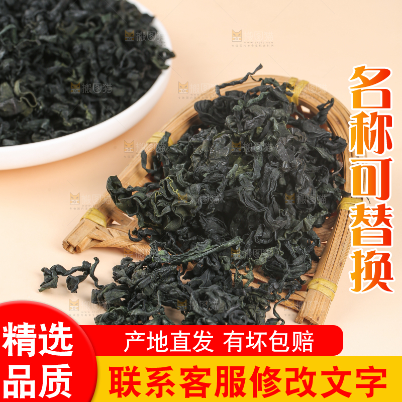 浅底上的裙带菜
