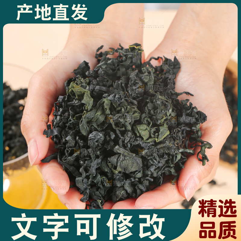 浅底上的裙带菜