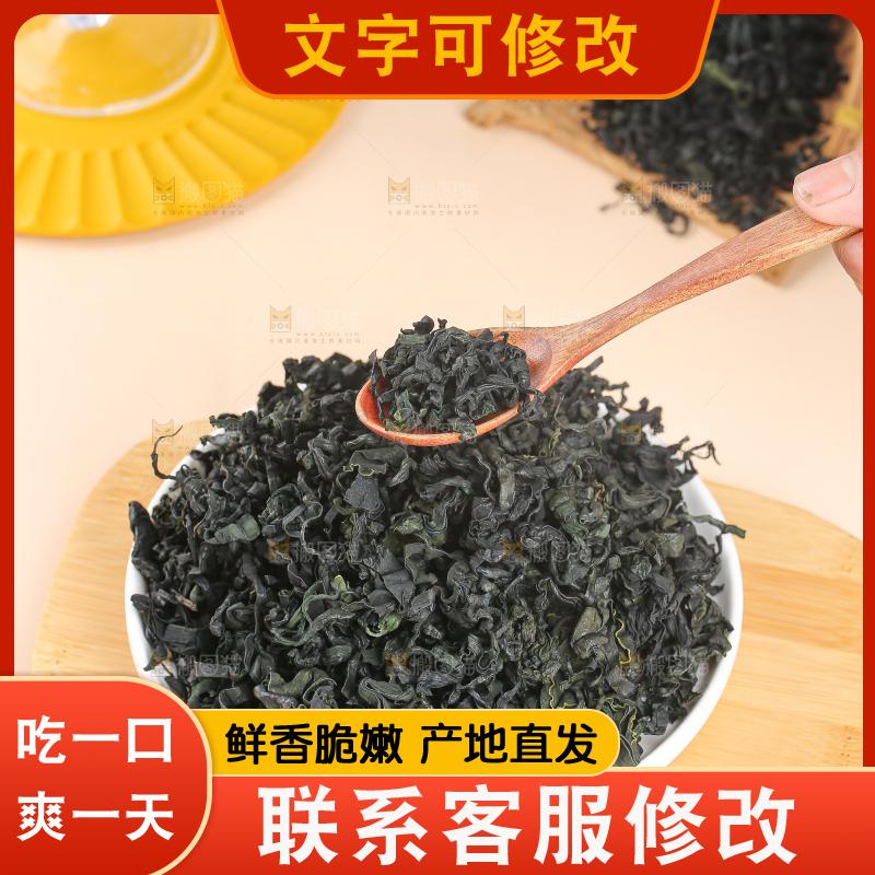 浅底上的裙带菜
