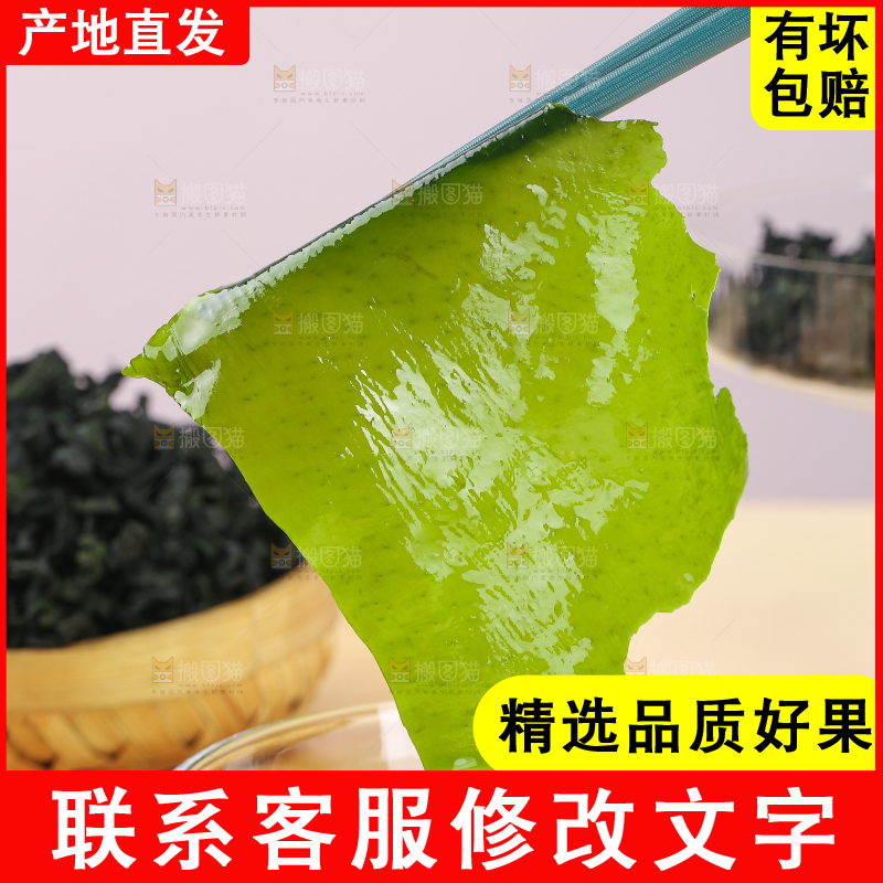 浅底上的裙带菜