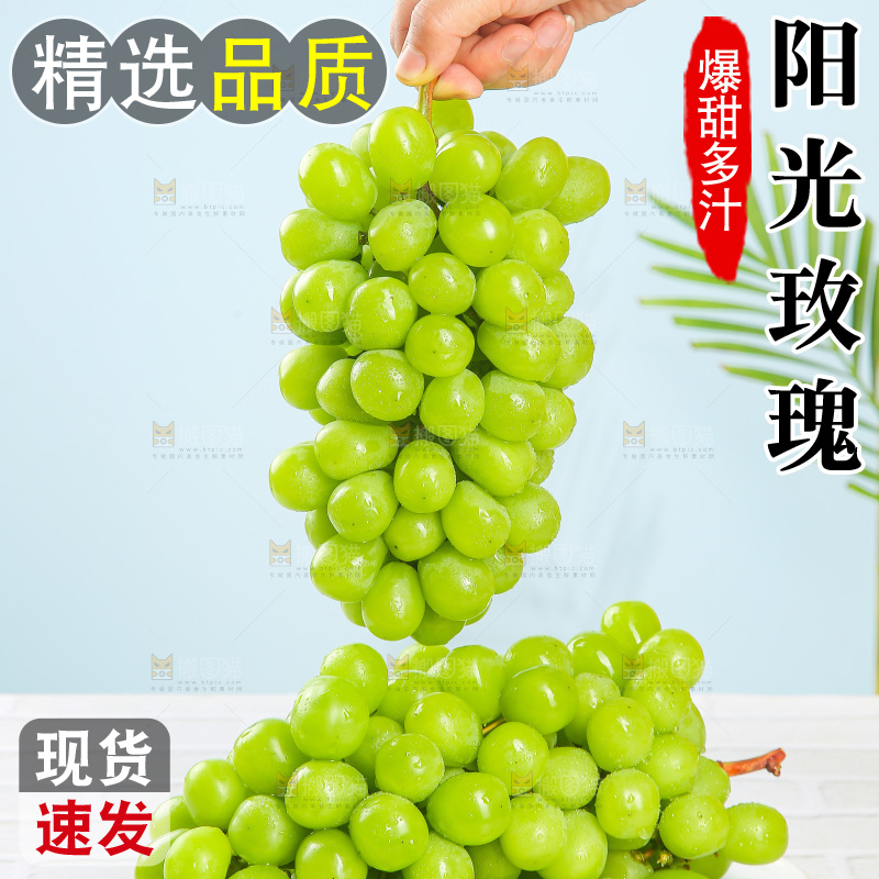 浅底上的阳光玫瑰青提