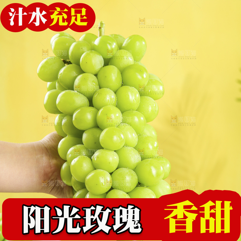 浅底上的阳光玫瑰青提