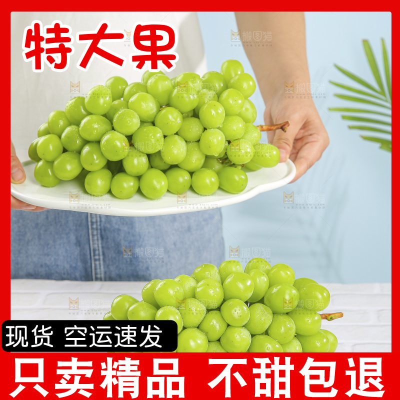 浅底上的阳光玫瑰青提