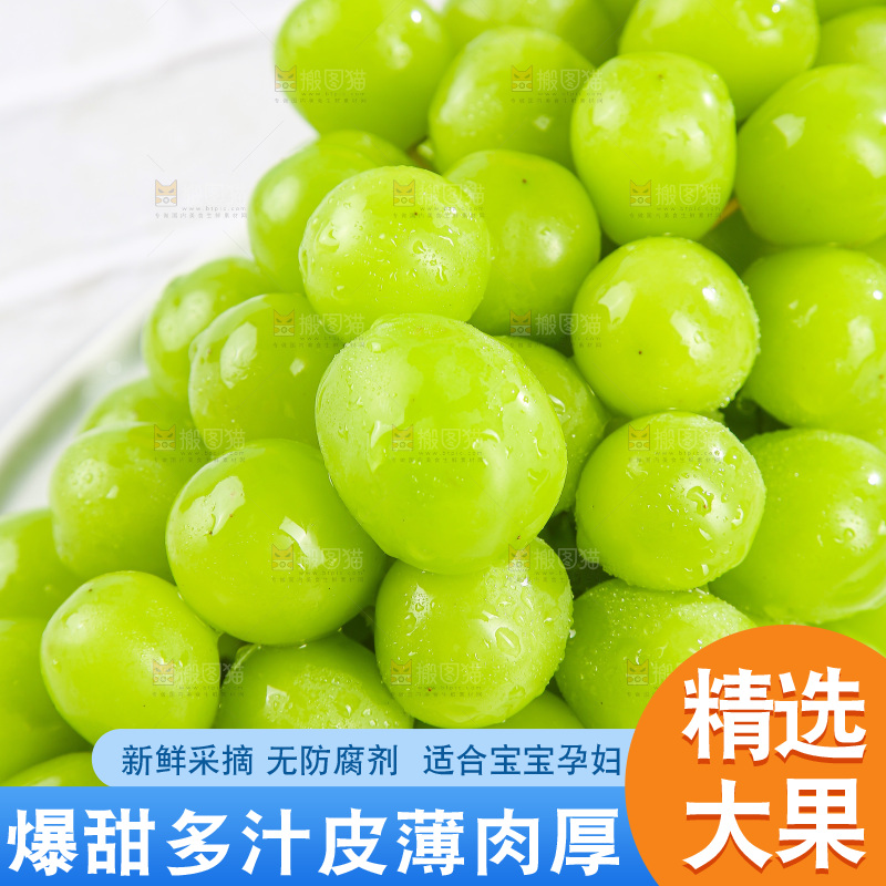 浅底上的阳光玫瑰青提