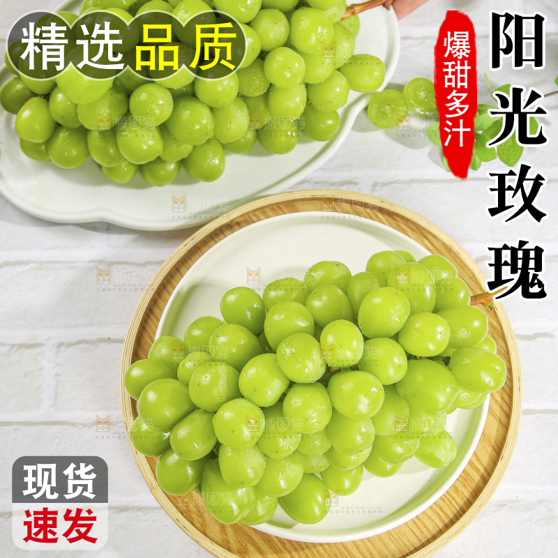 浅底上的阳光玫瑰青提