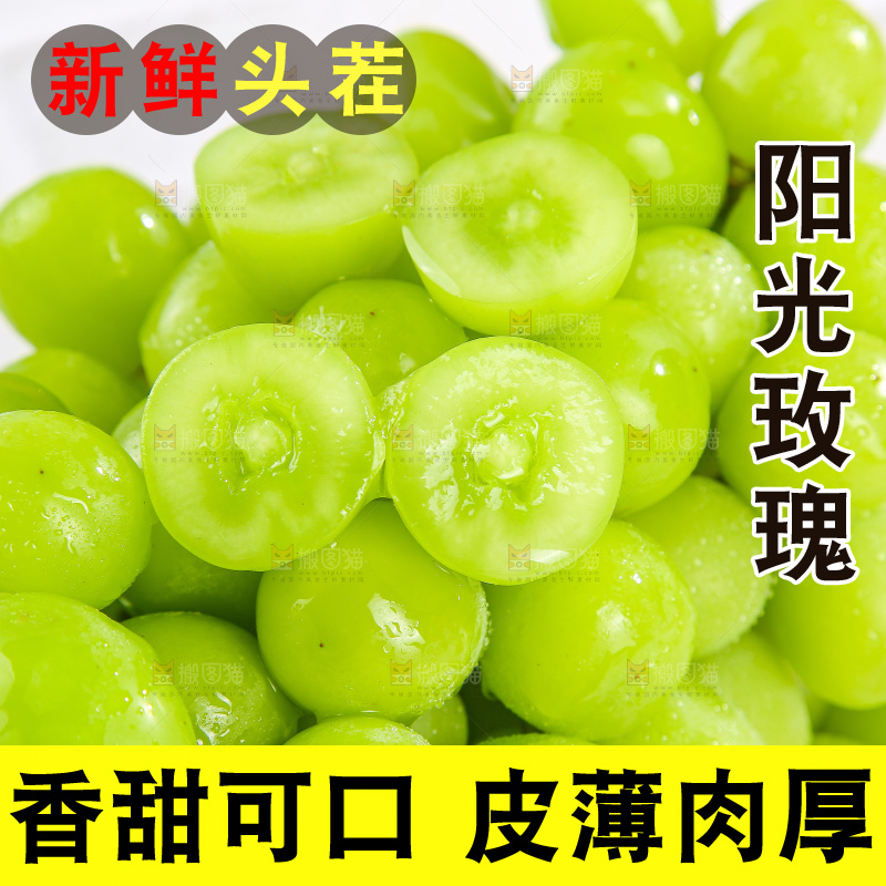 浅底上的阳光玫瑰青提