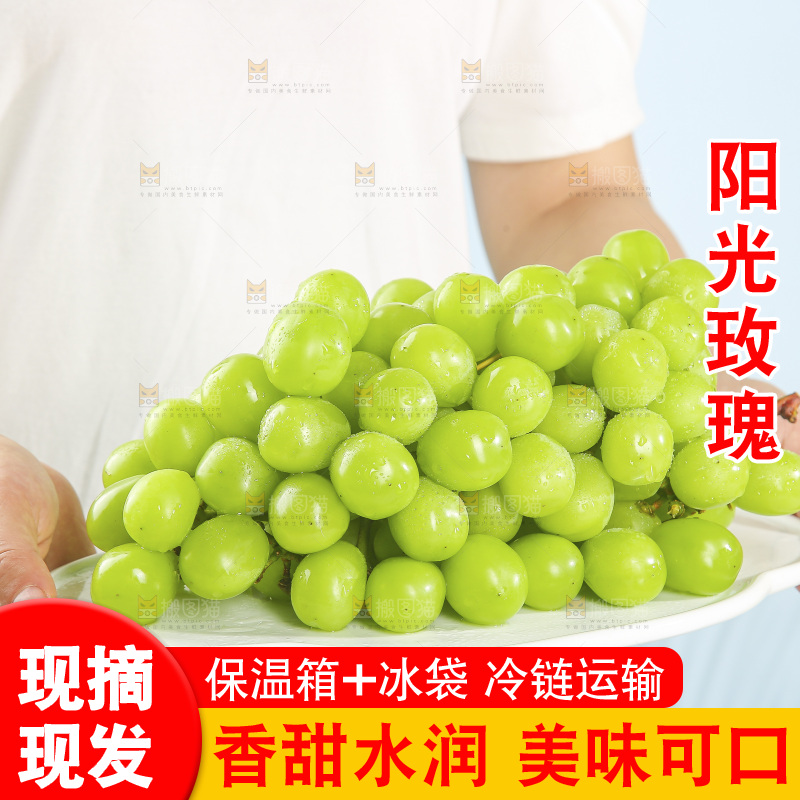 浅底上的阳光玫瑰青提