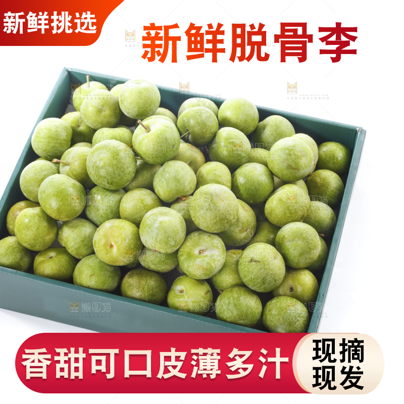 白底上的青脆脱骨李