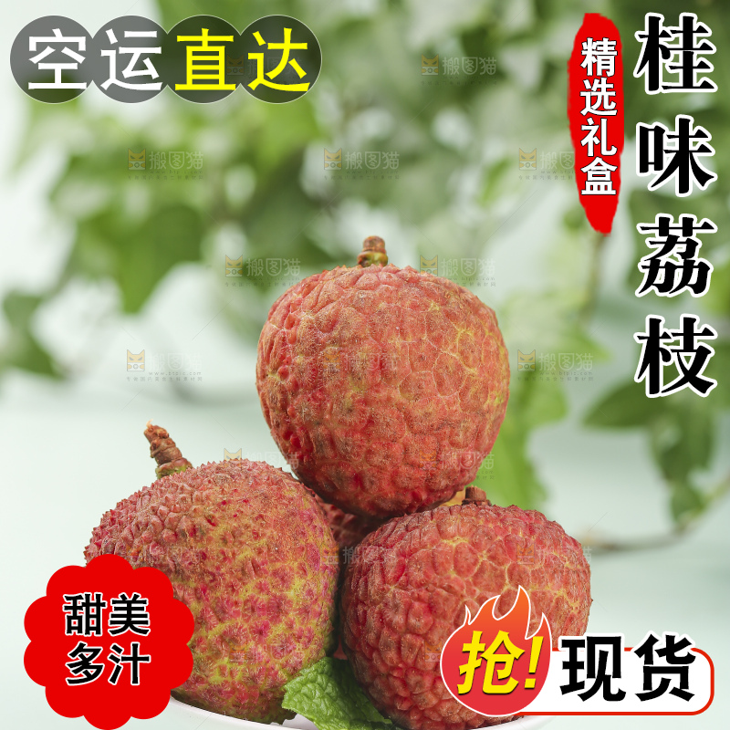 浅底上的桂味荔枝