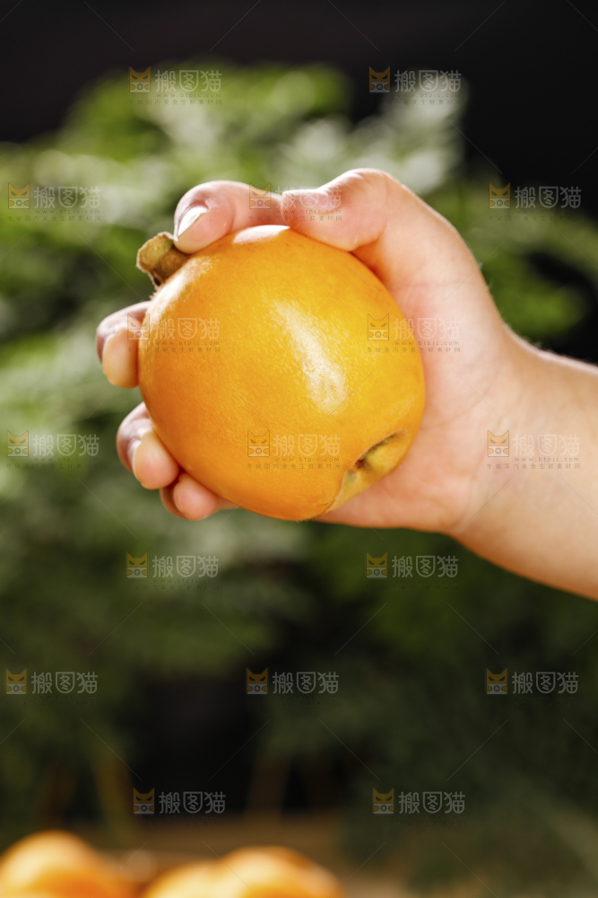 深底上的枇杷