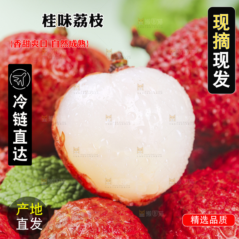 浅底上的桂味荔枝