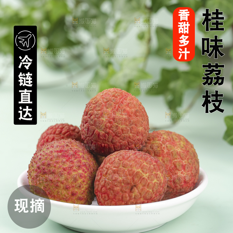 浅底上的桂味荔枝