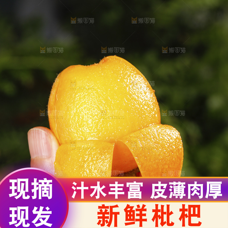 深底上的枇杷