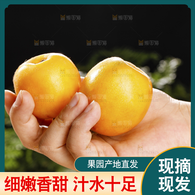 深底上的枇杷