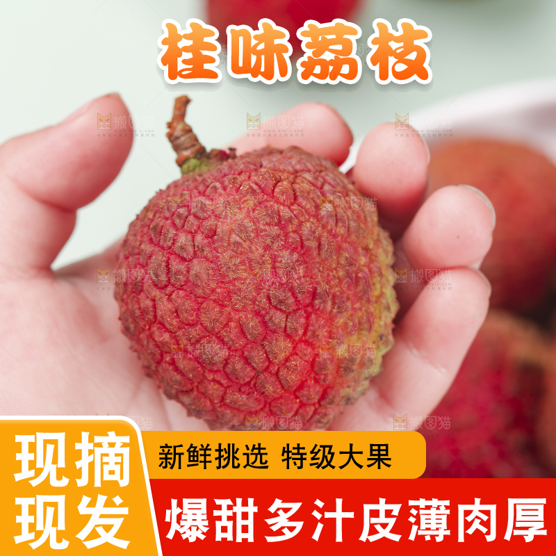 浅底上的桂味荔枝