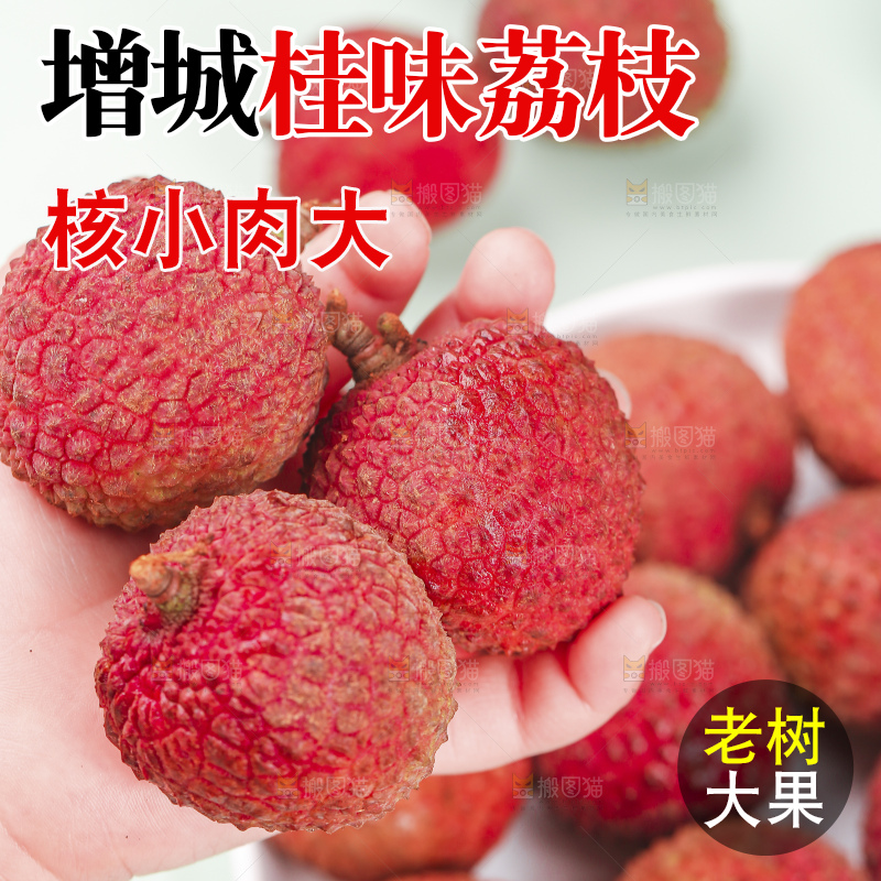 浅底上的桂味荔枝