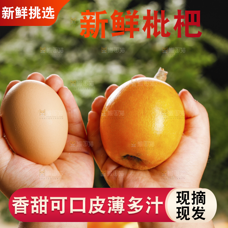 深底上的枇杷