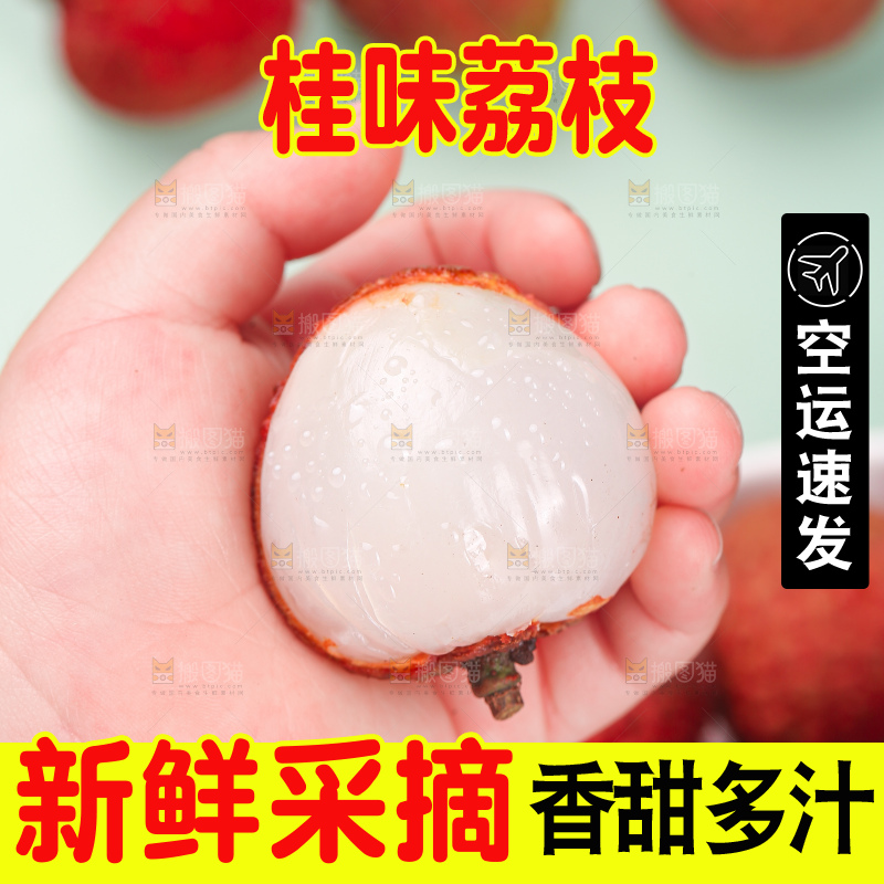 浅底上的桂味荔枝