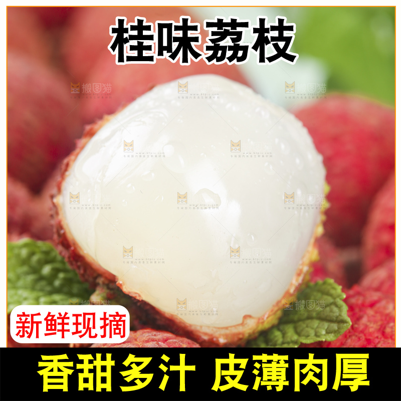 浅底上的桂味荔枝