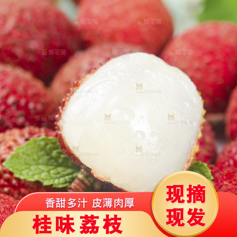 浅底上的桂味荔枝