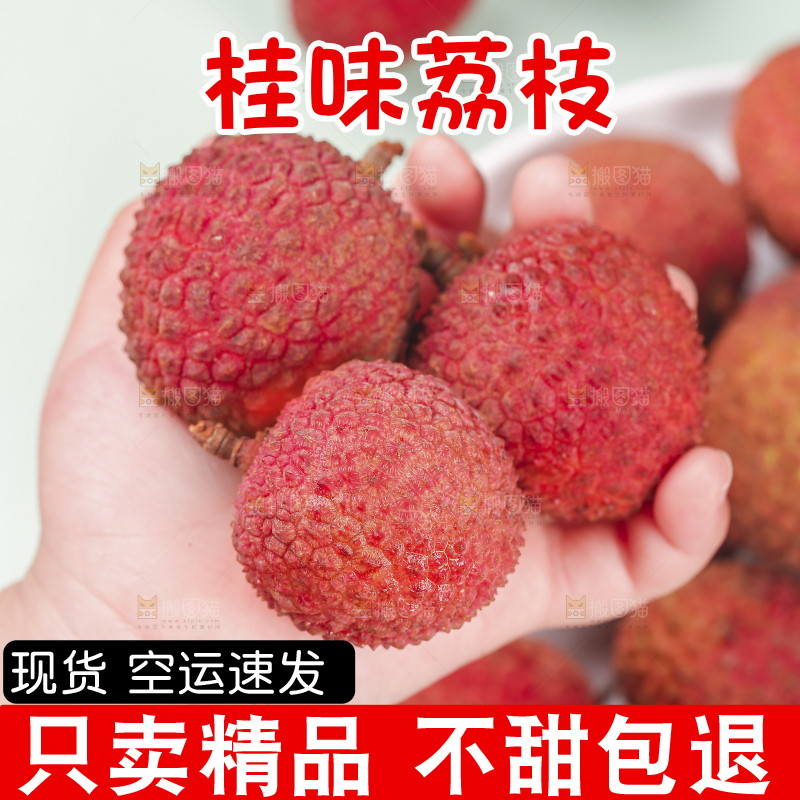 浅底上的桂味荔枝