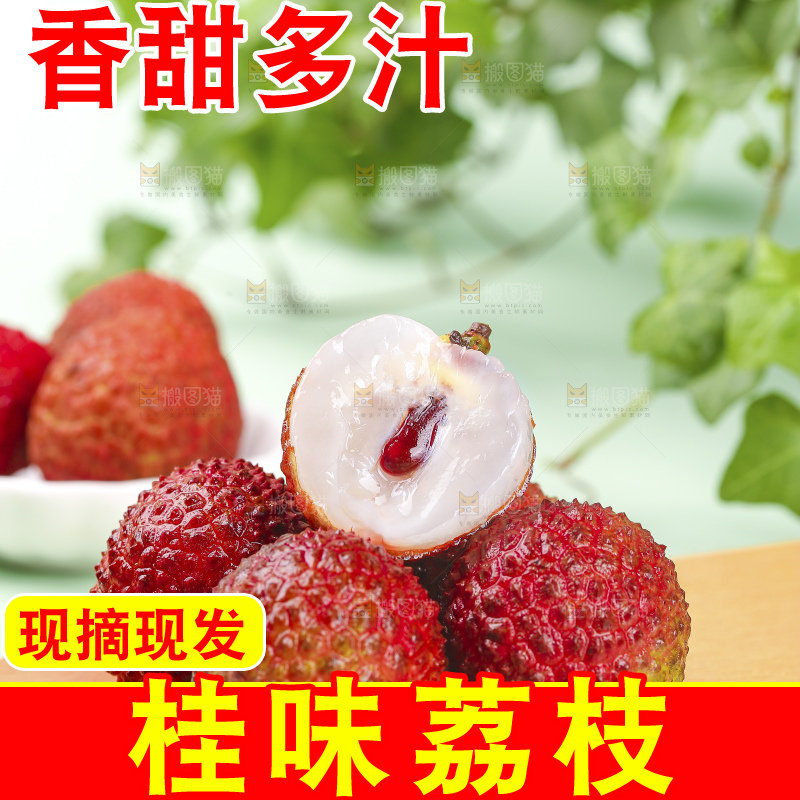 浅底上的桂味荔枝