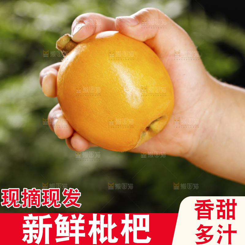 深底上的枇杷