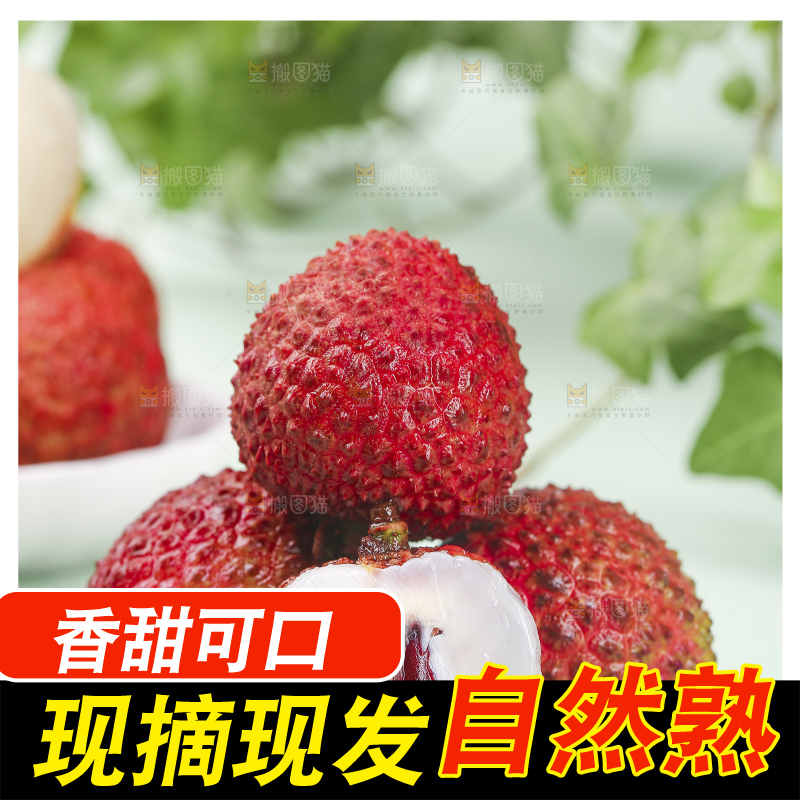 浅底上的桂味荔枝