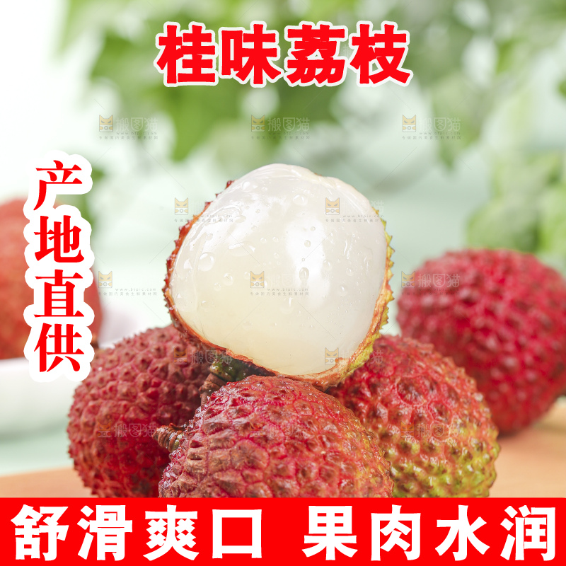 浅底上的桂味荔枝