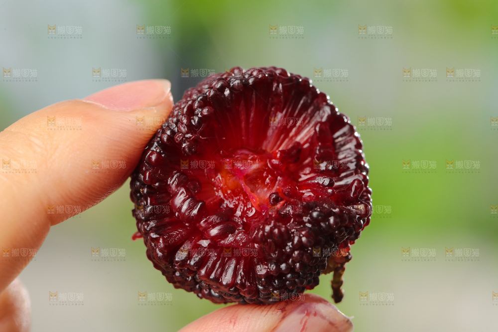 木底上的新鲜杨梅