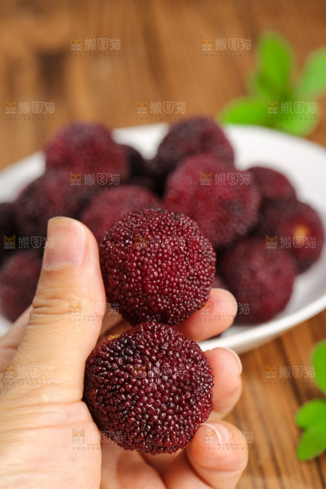 荸荠杨梅