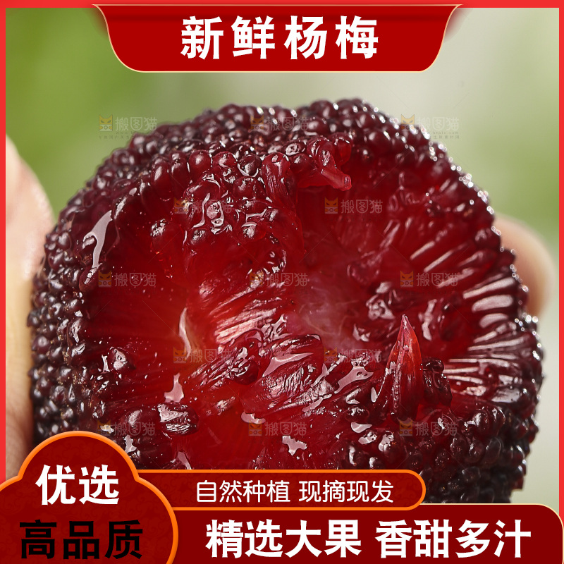 木底上的仙居杨梅