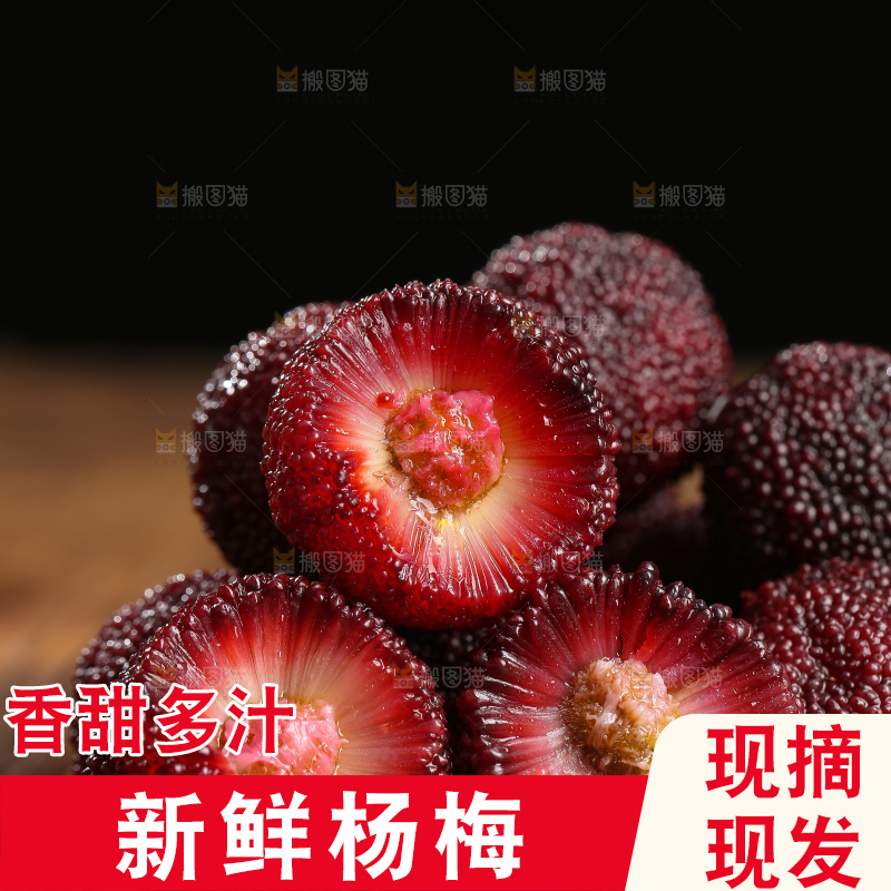 木底上的仙居杨梅
