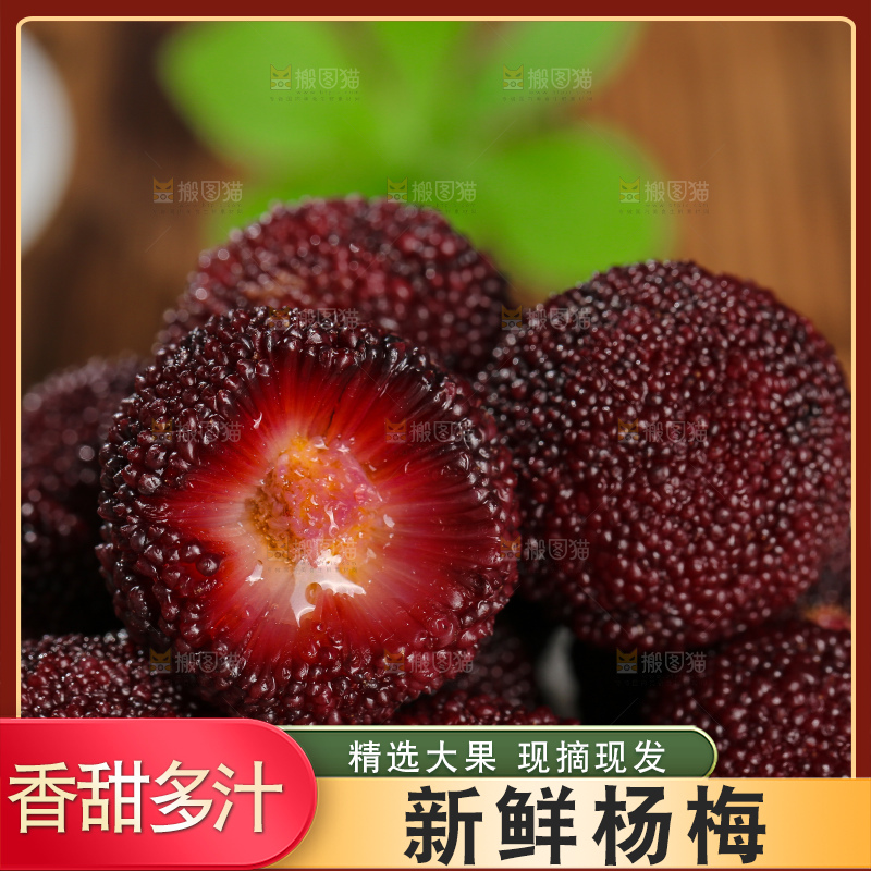 木底上的仙居杨梅