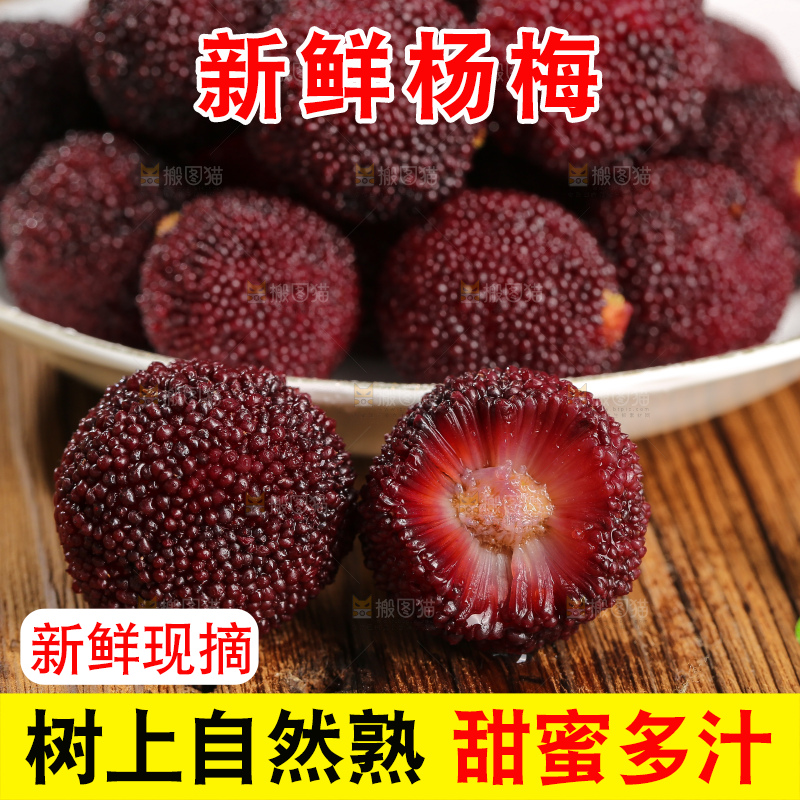 木底上的仙居杨梅