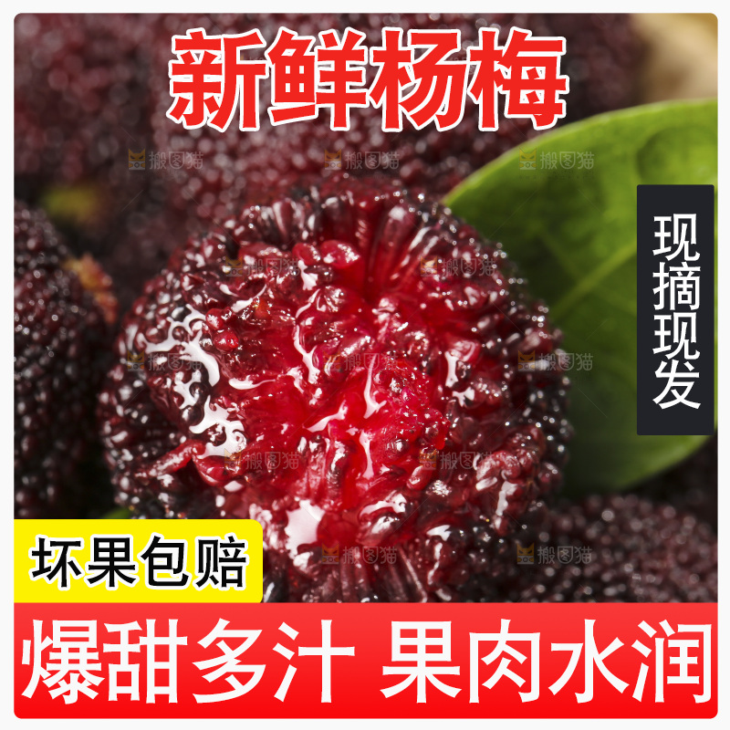 深底上的杨梅鲜果