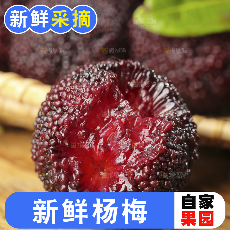 深底上的杨梅鲜果