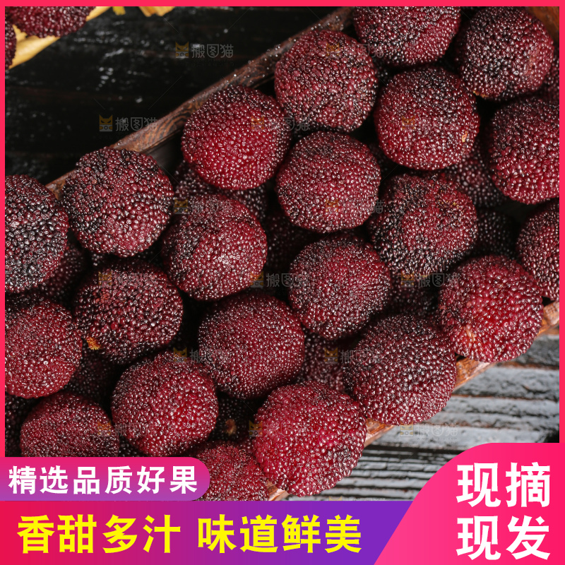 木底上的仙居杨梅