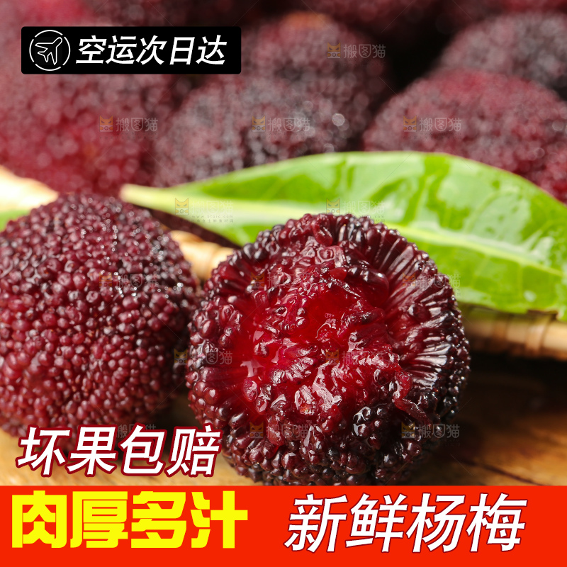 深底上的杨梅鲜果