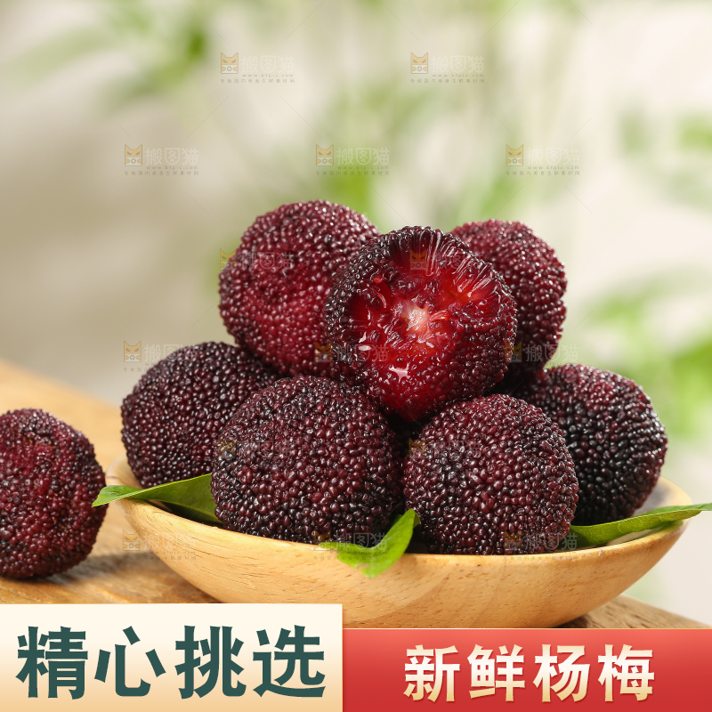 木底上的仙居杨梅
