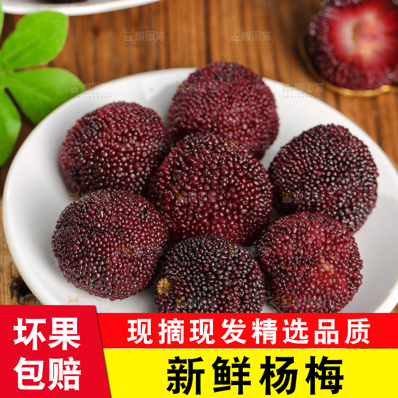 木底上的仙居杨梅
