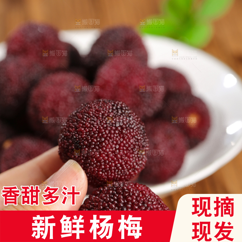 木底上的仙居杨梅