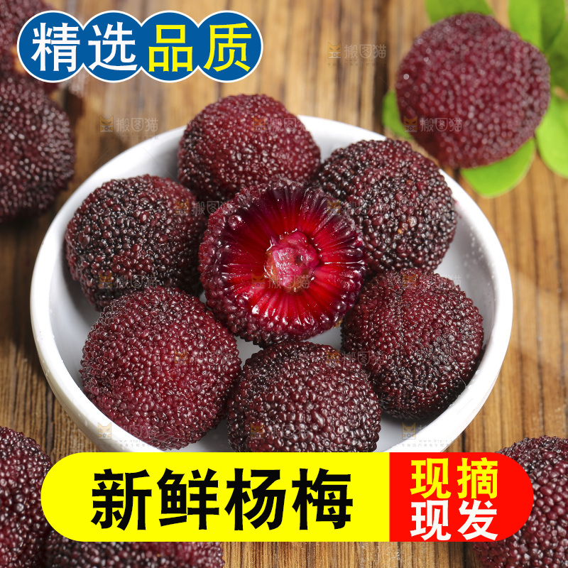 木底上的仙居杨梅