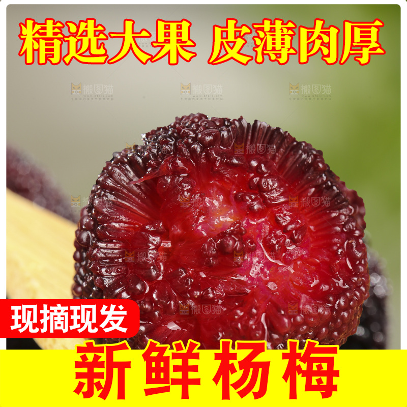 深底上的杨梅鲜果